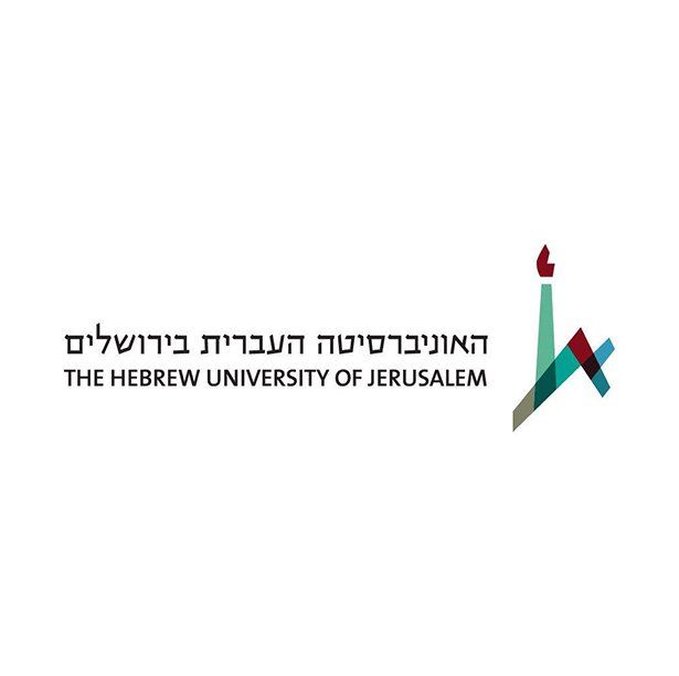לוגו לקוח