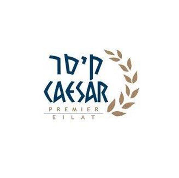 לוגו לקוח