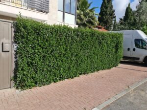 20230430_084257-scaled (1)