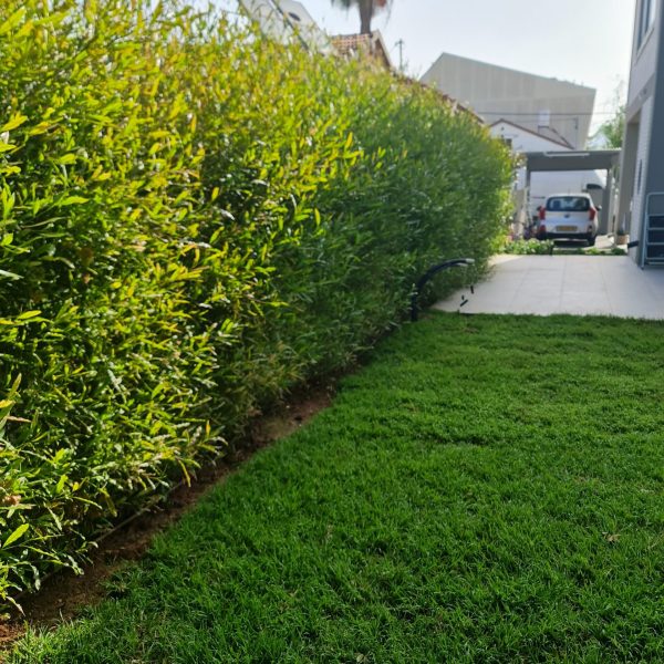 20240523_081415-scaled